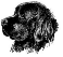hex23.gif