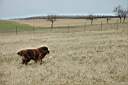 ranch149.JPG