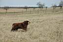ranch151.JPG