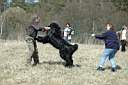 ranch216.JPG